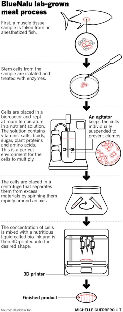 Så går processen till. Foto via BlueNalu